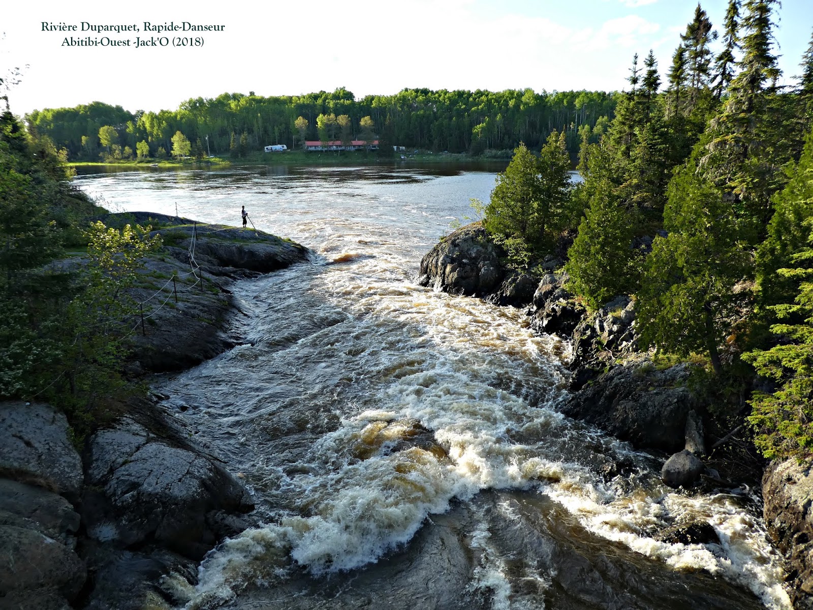 L'OEIL AU VERT RapideDanseur (AbitibiOuest). juin 2018