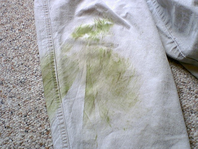 The Modern Housewives: A Grass Stain? Don't Worry, There is a Solution