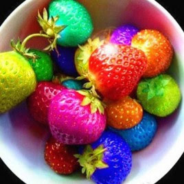 jual bibit strawberry pelangi murah asli jual kosmetik jual bibit strawberry pelangi murah asli jual kosmetik