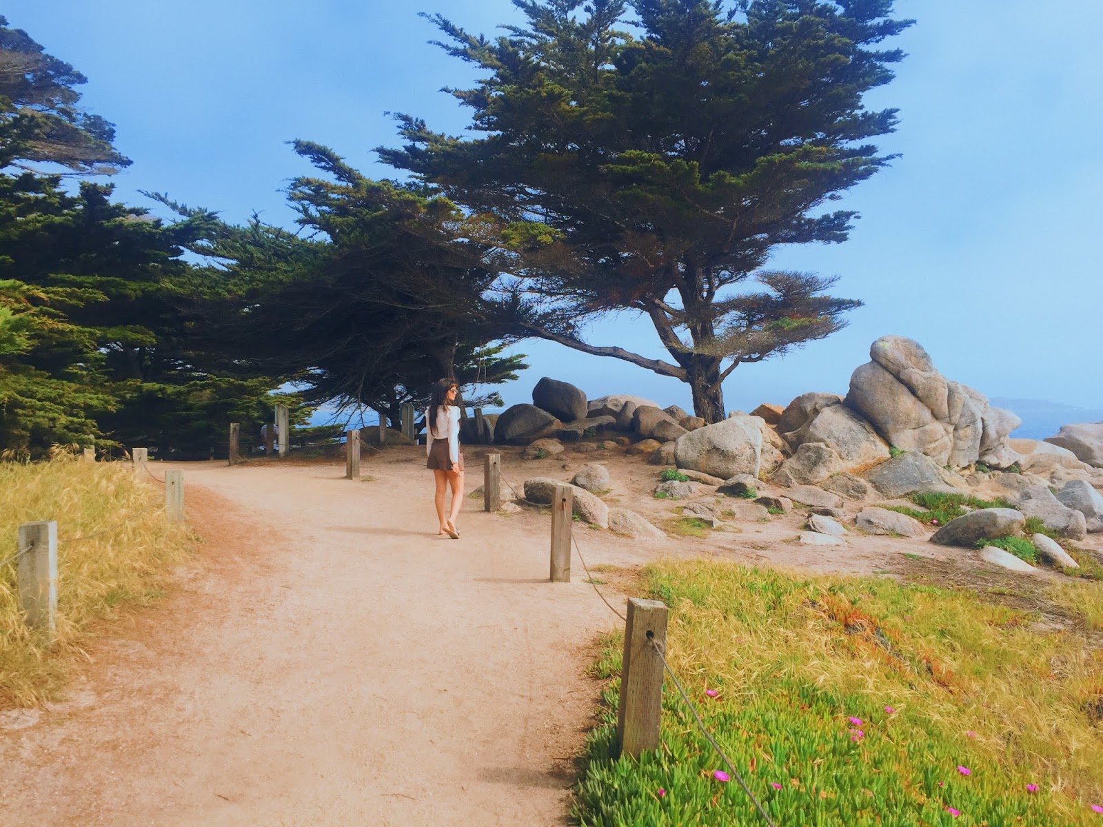 Carmel Getaway near San Francisco Sustainable Travel Guide - San Francisco to Monterey Bay