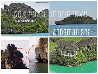 Langkawi mangrove package
