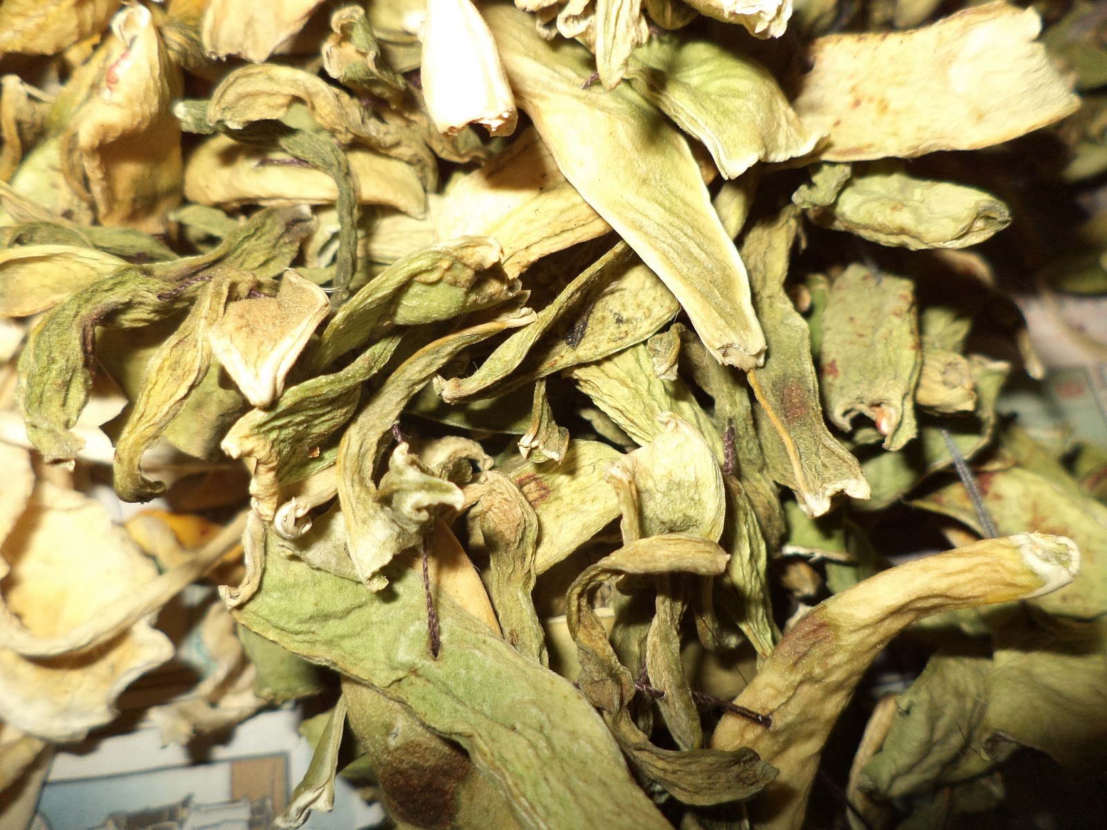 KOSHUR KHYAEN DRIED VEGETABLES OF KASHMIRPART ONE