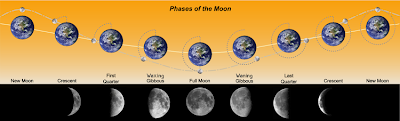 750px-Phases_of_the_Moon.png