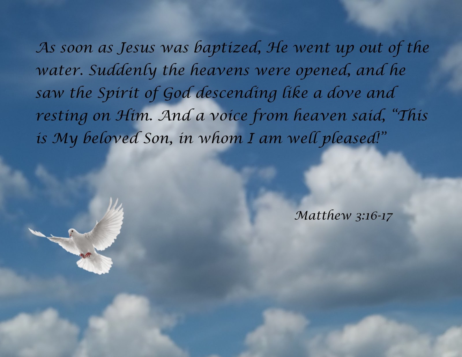 Scarlet Robe Scripture Verses Matthew 3 16 17