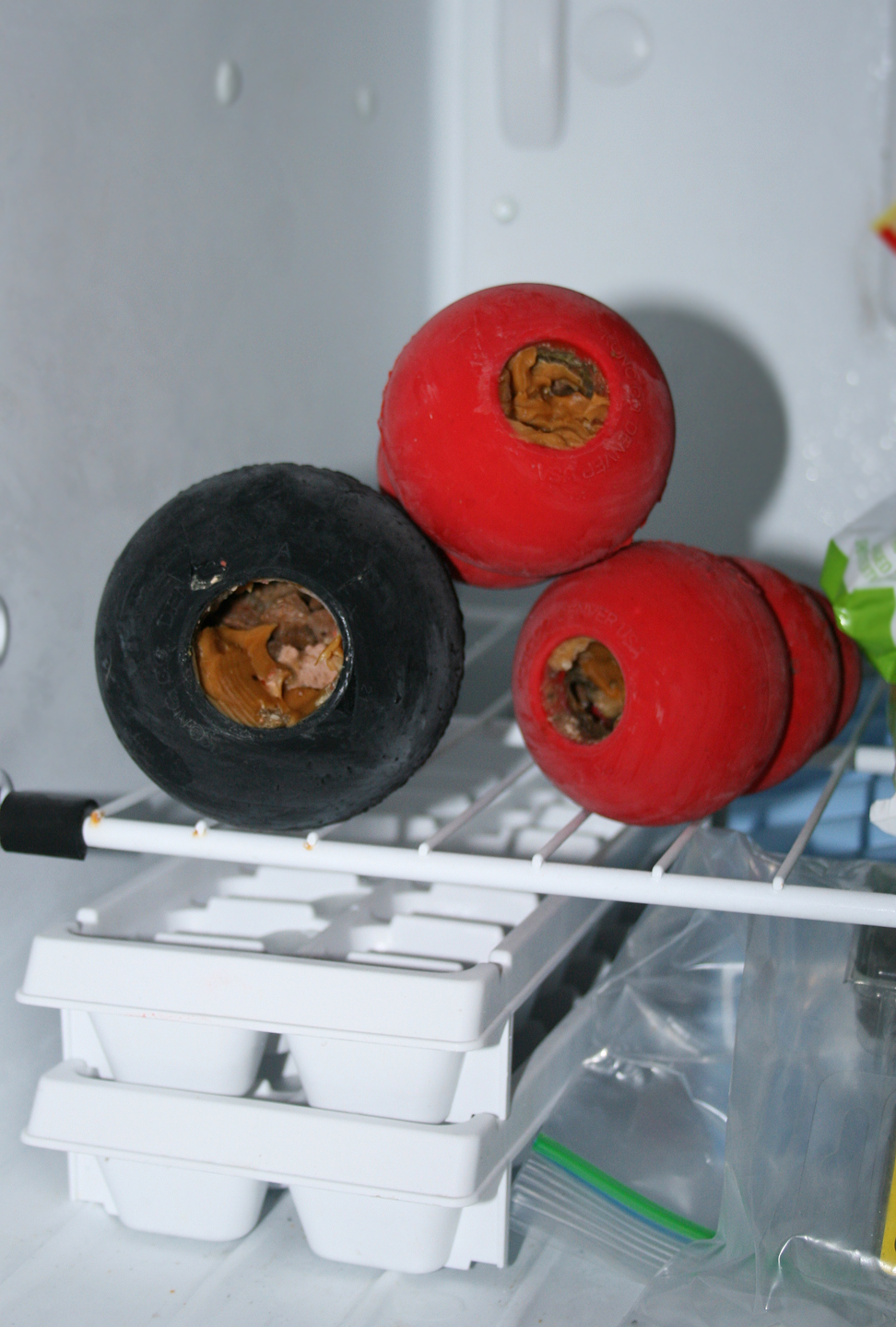 Modified k9 Frozen Stuffed Kongs