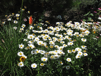 mylife4Him: A Most Beautiful Flower Garden
