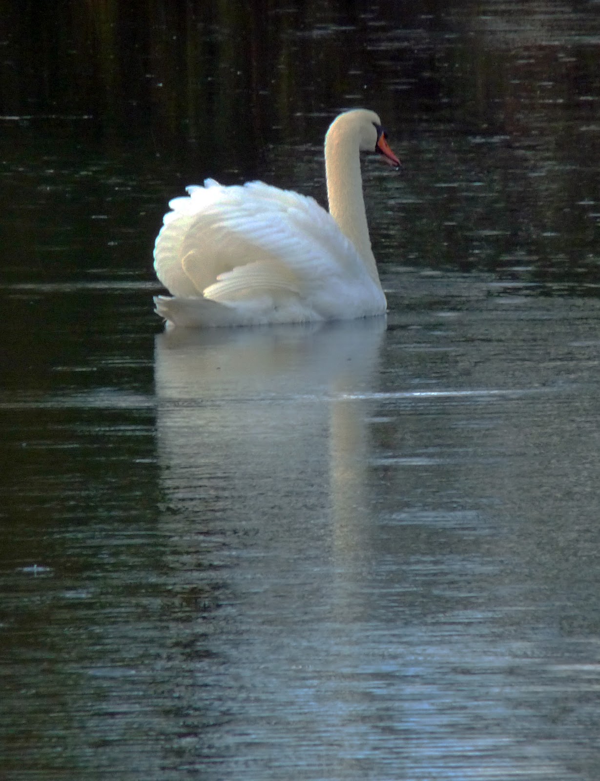 wild-and-wonderful-october-2012