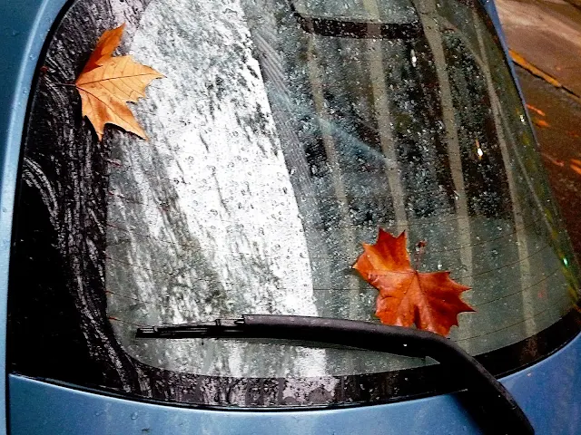 Foto de un día de lluvia.Ojas en la luneta de auto