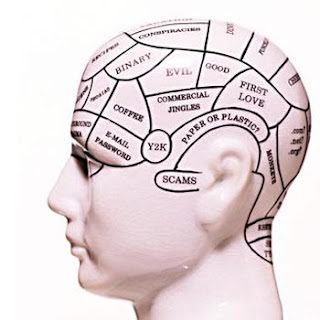 Are not human brain development newborn to adult Join. human brain development newborn to adult discuss impossible