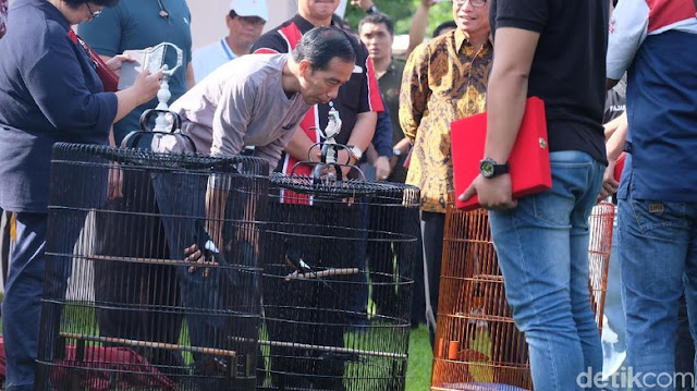 Presiden Jokowi melihat dari dekat burung-burung dalam sangkar. Presiden Jokowi melihat dari dekat burung-burung dalam sangkar.