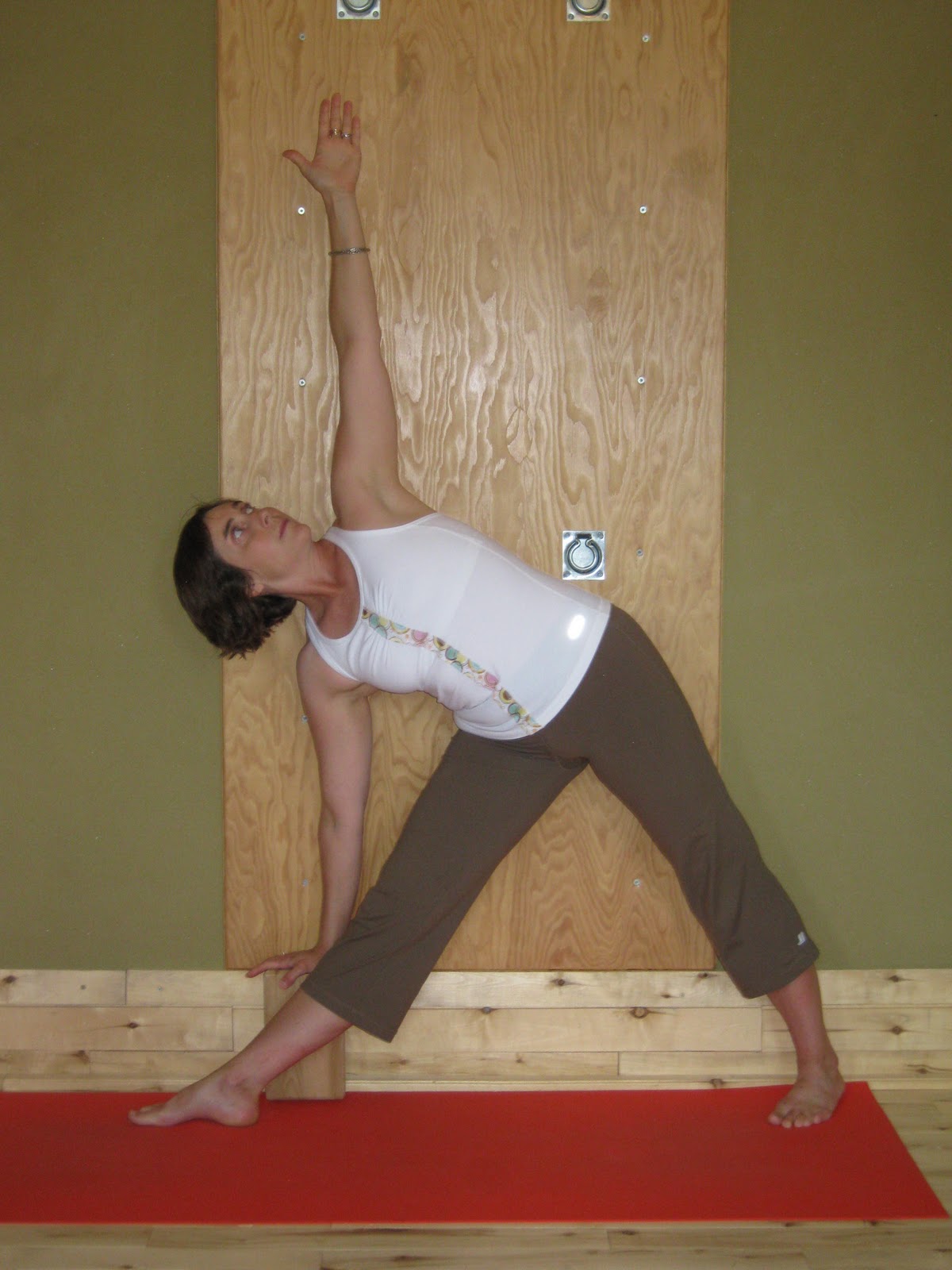 PLN Yoga Studio Pamela Nelson November Pose of the Month Ardha