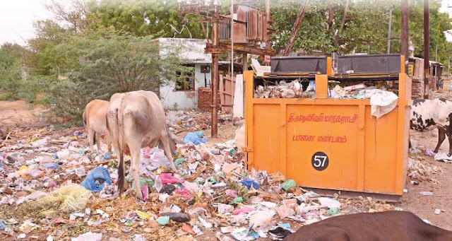 அம்மா உணவகத்திலும் கொள்ளை! அம்மா உணவகத்திலும் கொள்ளை!