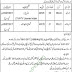 Jobs in Punjab-Examination-Commission-Lahore