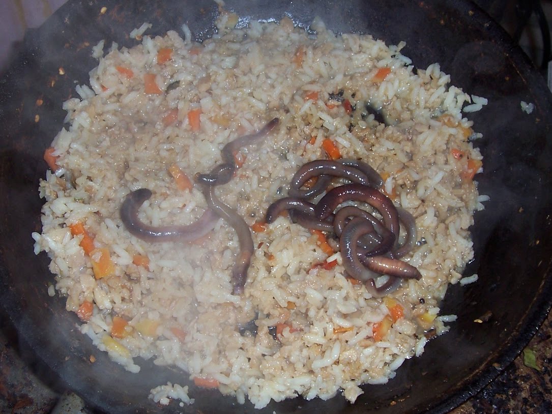 Stuart Showalter Law Blog Earthworm Fried Rice