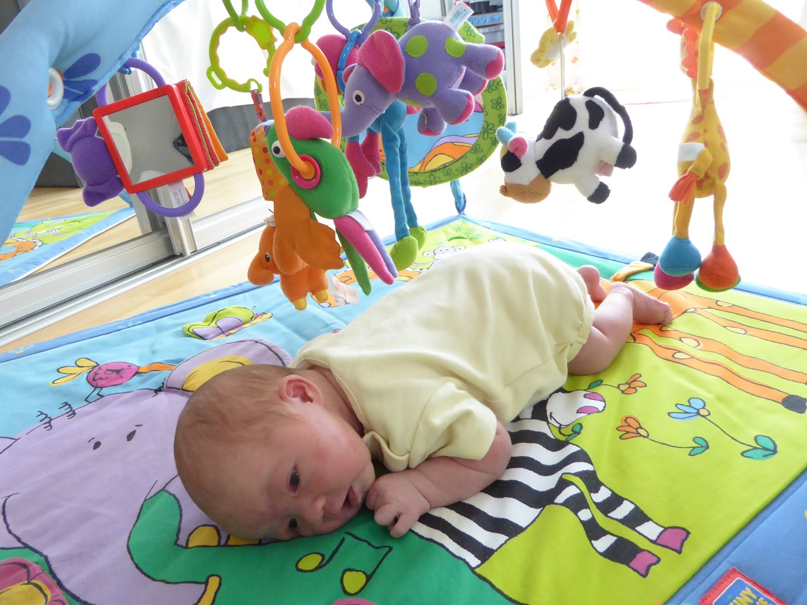 Family FECS Let Baby Lie on Tummy