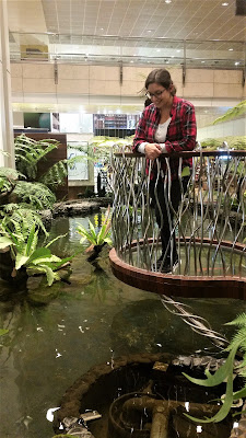 laghetto changi airport singapore laghetto changi airport singapore