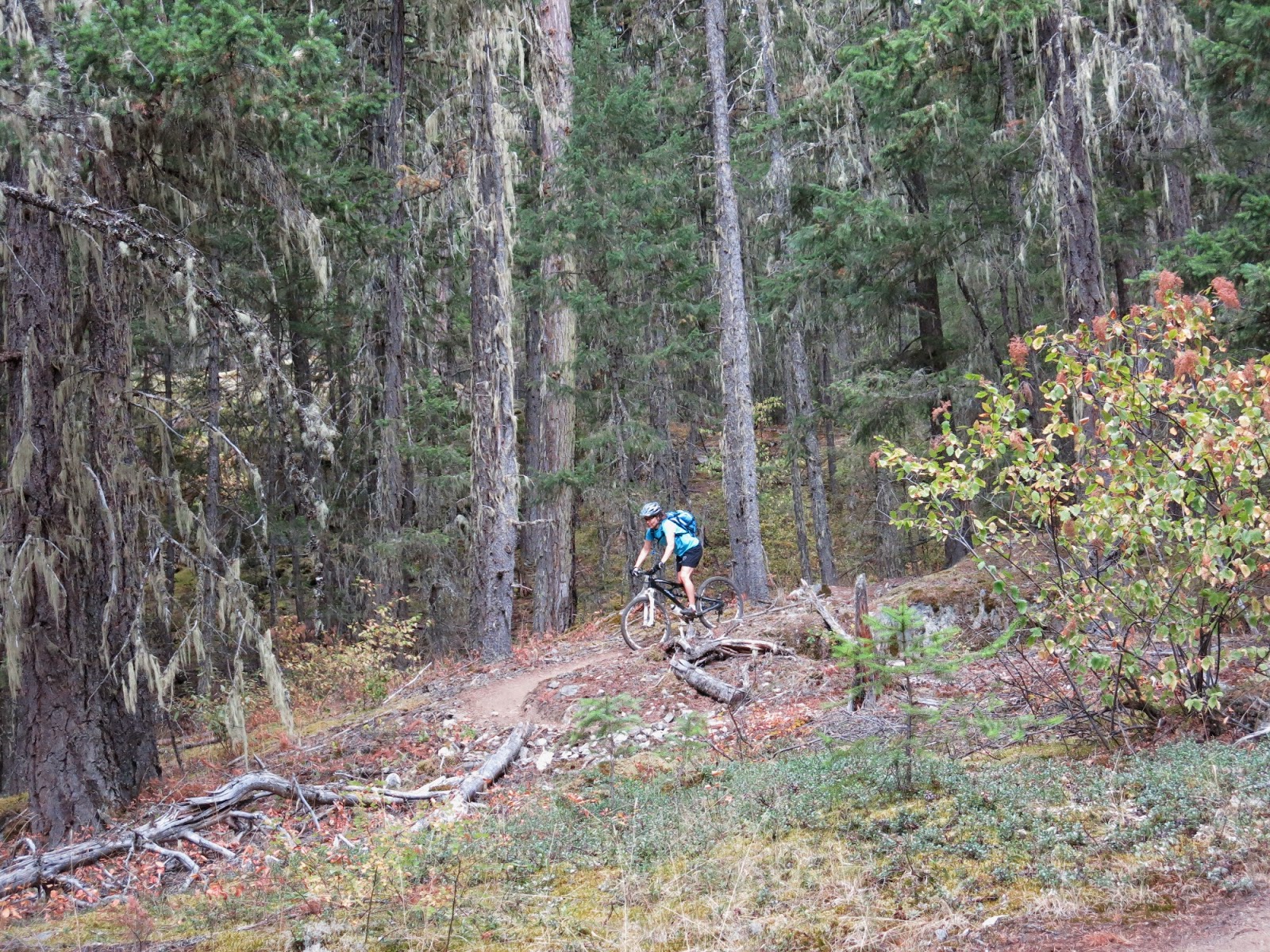 Bloated Skiing Sept 23 Pemberton One Mile Lake area