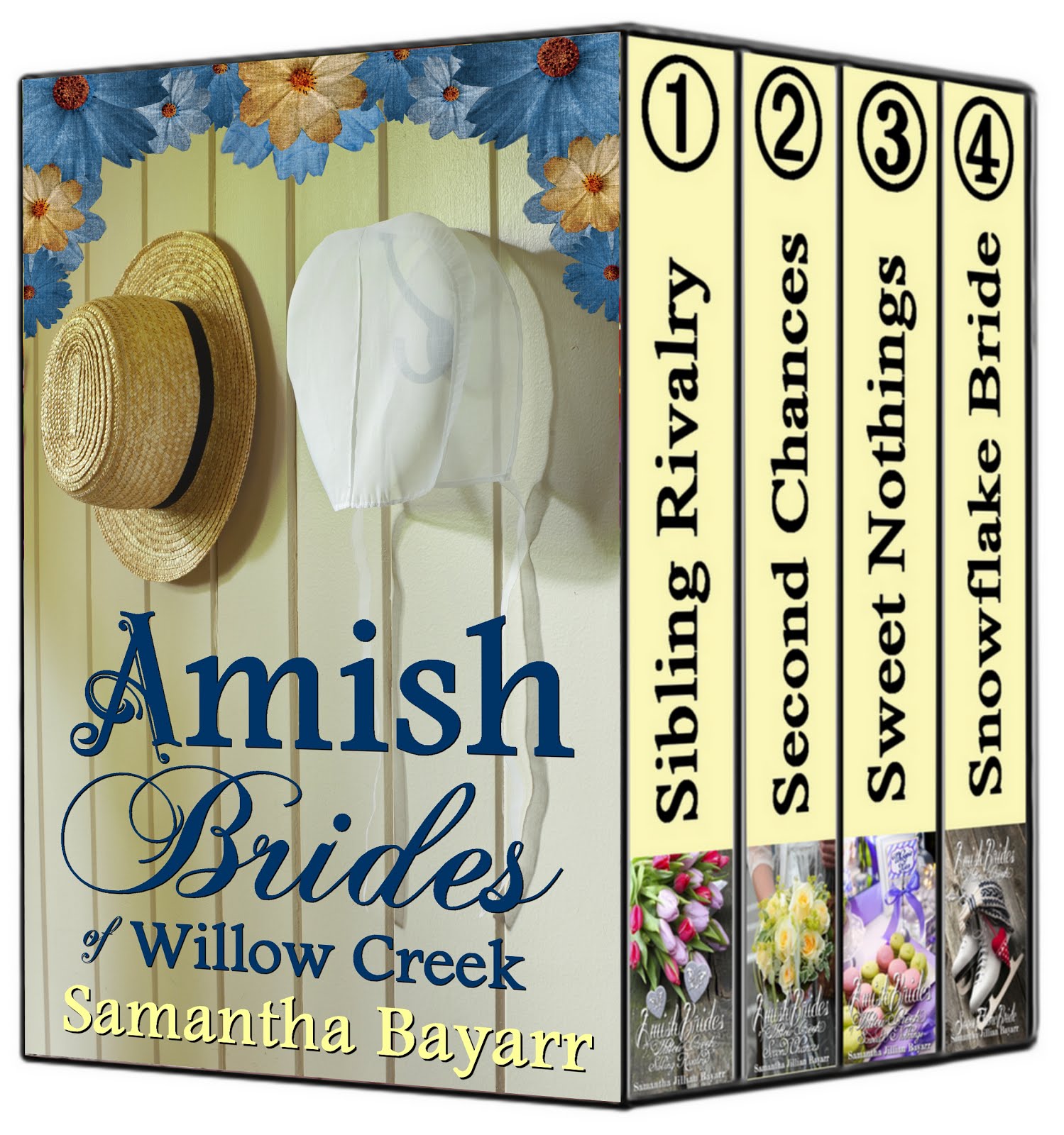 Amish Books Book Collections SALE