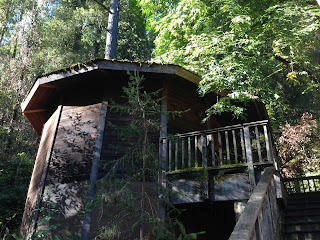 10 Day West Coast Itinerary