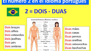 No digas "Dois pernas". En portugués, el número "2" tiene género.