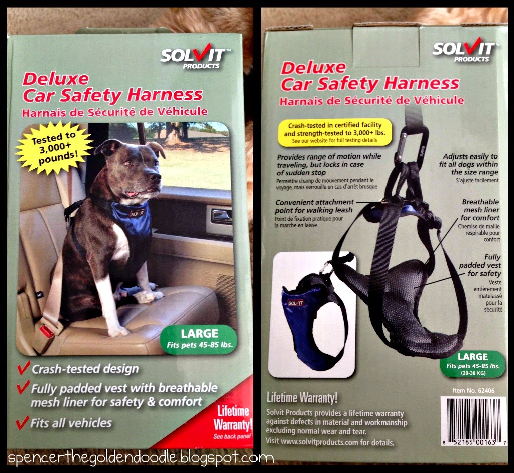 Spencer the Goldendoodle Solvit Products Deluxe Car Safety Harness