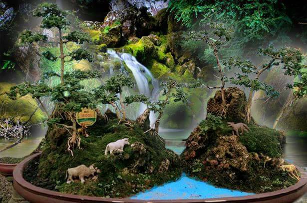 Cara Membersihkan Hama Dan Penyakit Pada Bonsai