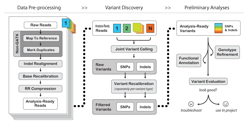 Variants only. Пайплайн SNP. Data-variant Kernel Analysis. Пайплайн обработки fastq. Microsoft Analysis services схема работы.