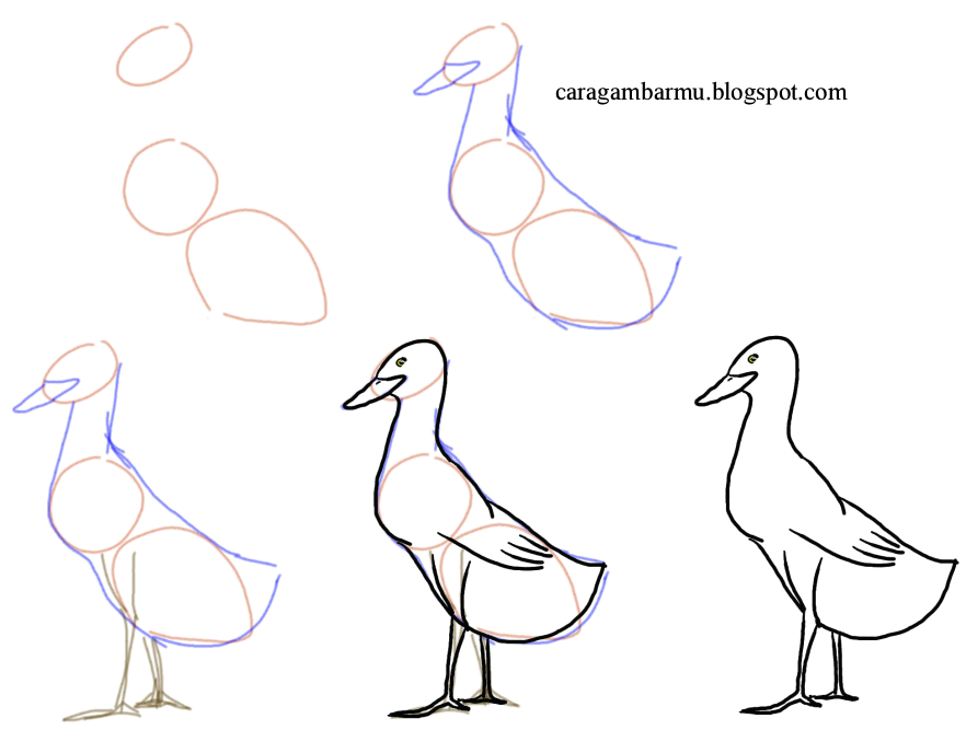  Cara  dan Teknik Menggambar  untuk Pemulacara menggambar  