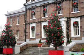 joulukuusi, punaiset rusetit, museon joulukoristeet