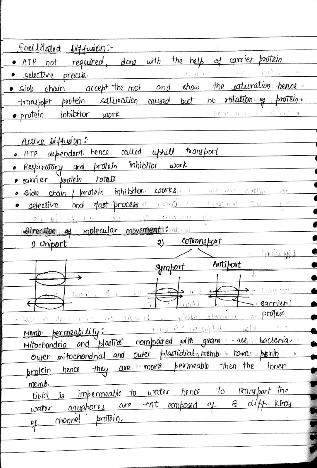 06 Plant transport - Biology Notes for IGCSE