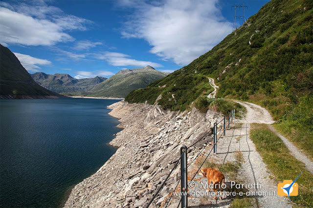Mullattiera che costeggia il lago di Santa Maria Mullattiera che costeggia il lago di Santa Maria