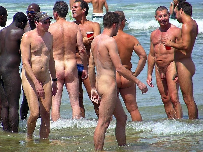 Gay nudist galleries tranny hookers