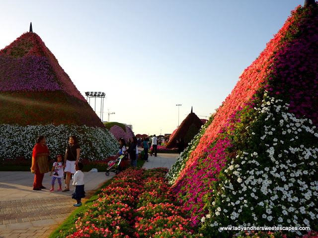 pyramids at Dubai Miracle Garden