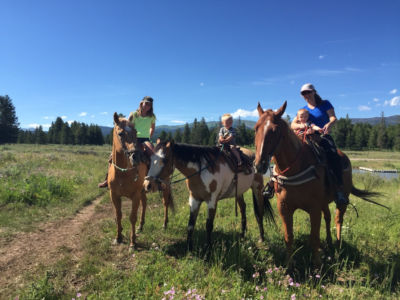 Yellowstone Horses: 2015