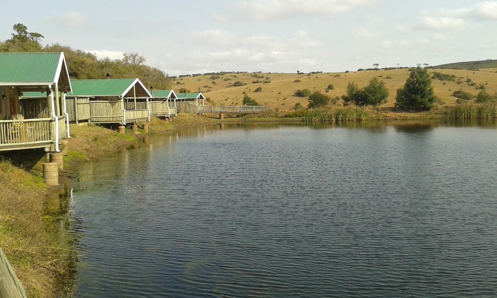 On the road again Lake Eland Game Reserve, KZN, South Africa