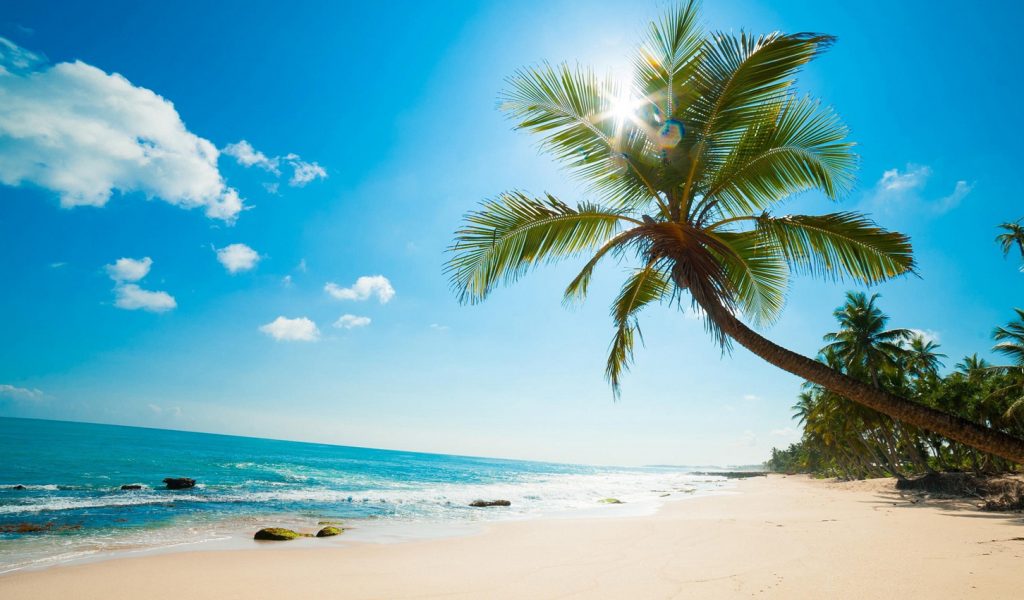 Đam mê du lịch: Biển xanh, cát trắng – Điểm đến yêu thích của mọi nhà
