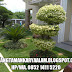 JASA TAMAN HIAS | BOGOR | DEPOK | SERPONG