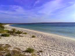 Tribunal falla a favor del Estado en el caso Bahía de Las Águilas