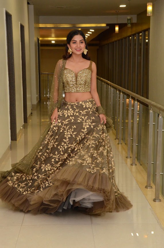 Kashmira Pardeshi at Narthanasala Pre-Release