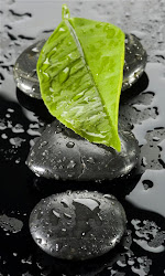 splash leaf stones rain mobile pop stone macro drops simple colors leaves nature colour backgrounds water rock grey shades rocks