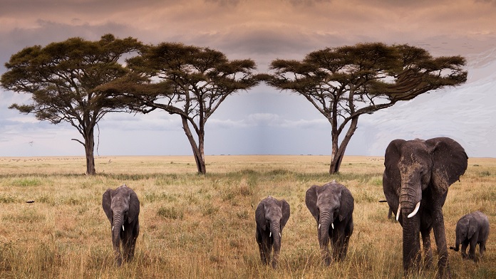 Proverbi E Detti Siciliani Sulla Donna Fimmina