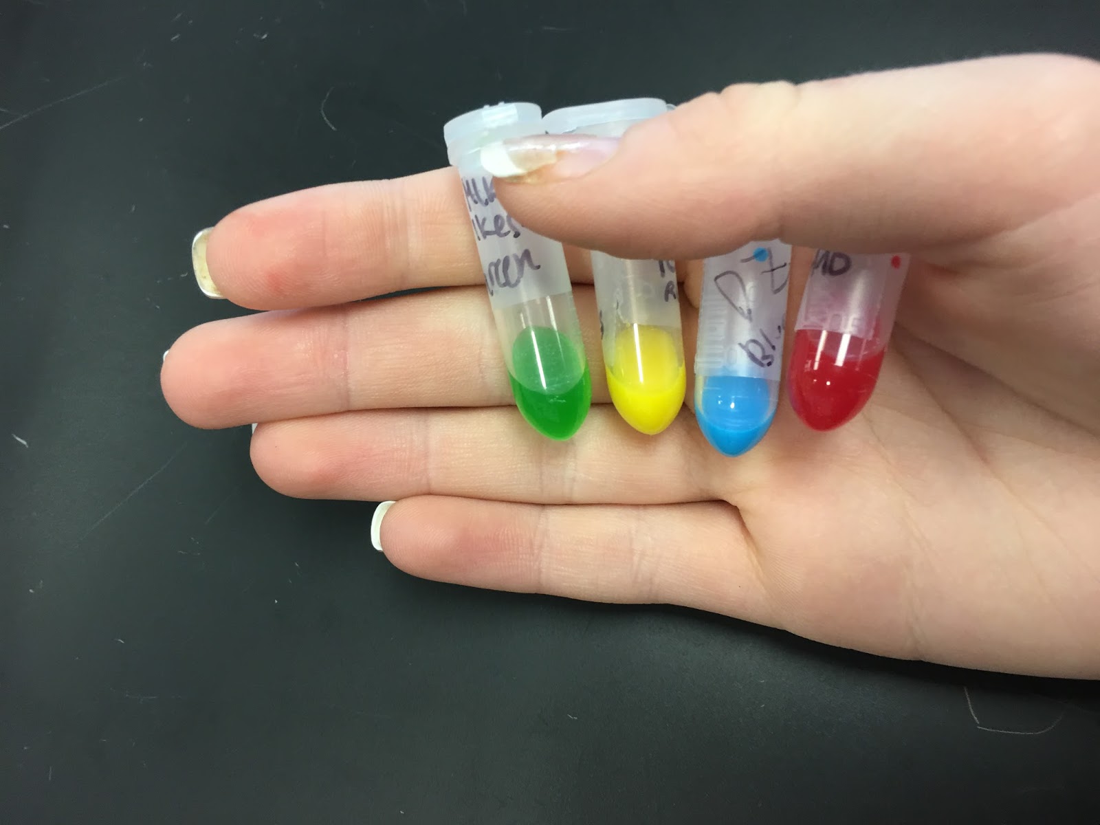 Candy Electrophoresis Lab