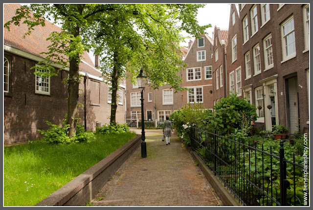 Bejhingof Amsterdam (Paises Bajos)