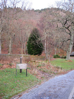 Walk around Craigendarroch, Ballater, Deeside