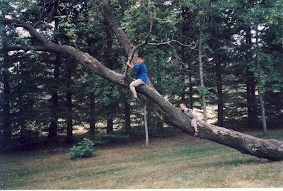 boys on the sideways tree