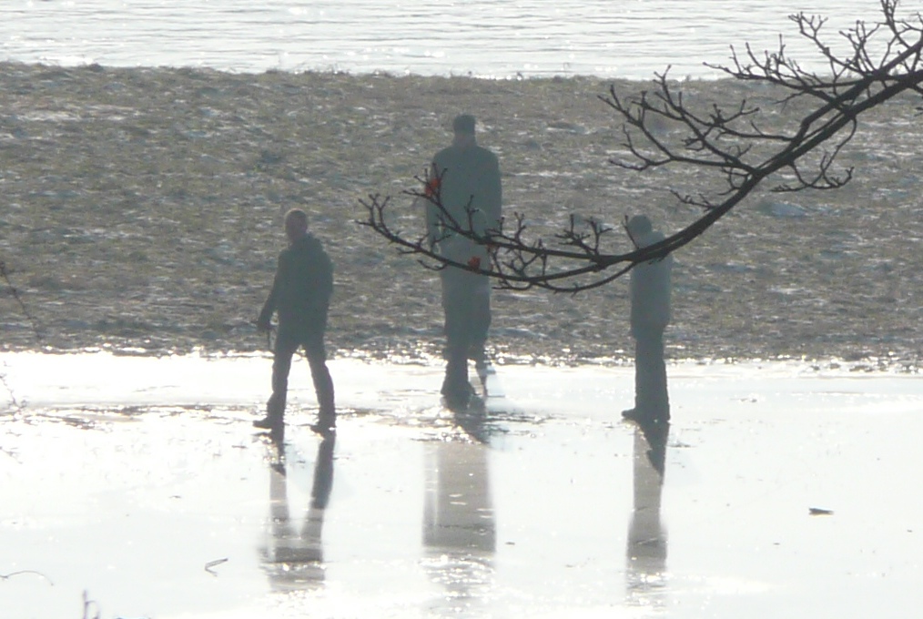A View Through The Trees - Iain Rutherford