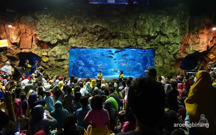 sea world ancol jakarta