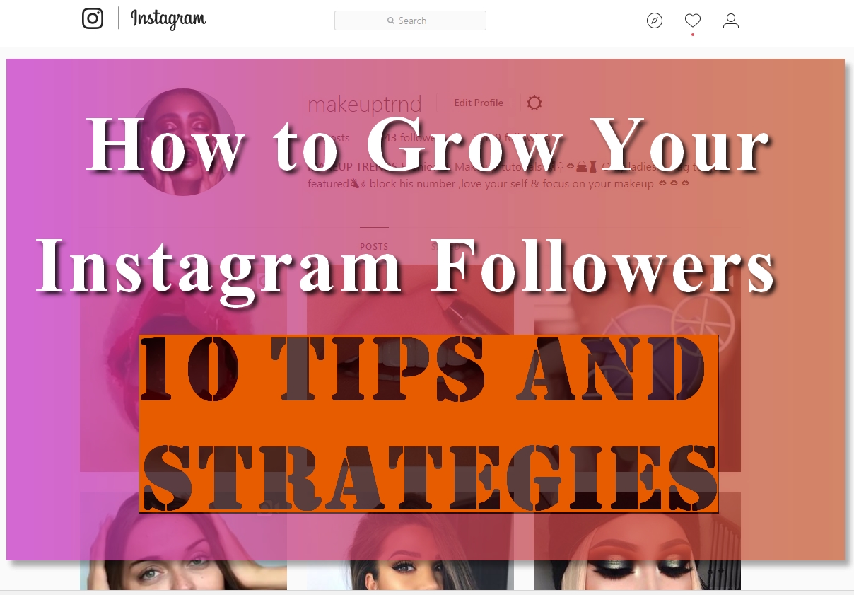 How to Grow Your Instagram Followers : 10 Tips and Strategies - How ...