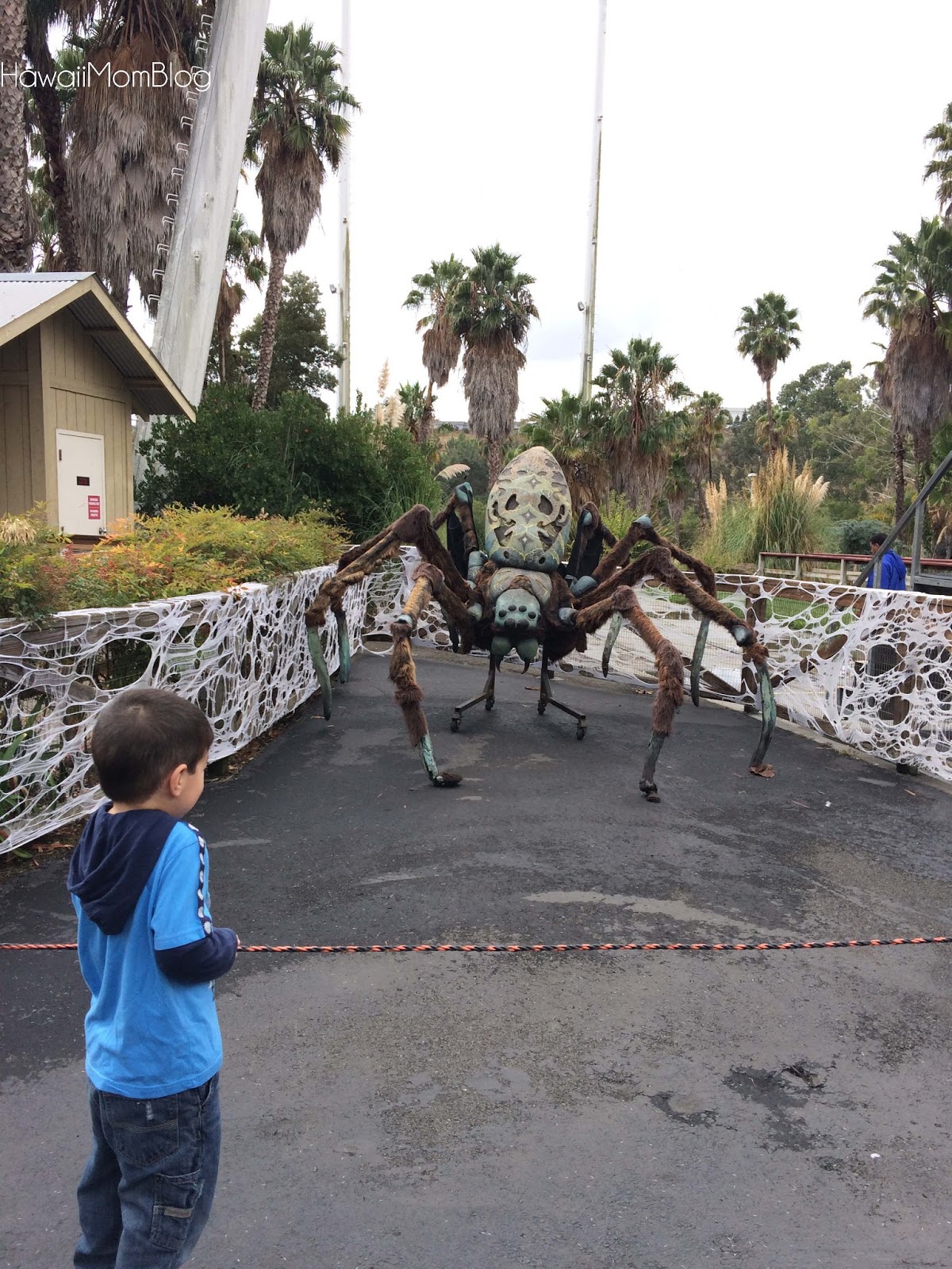 six flag discovery kingdom san francisco
