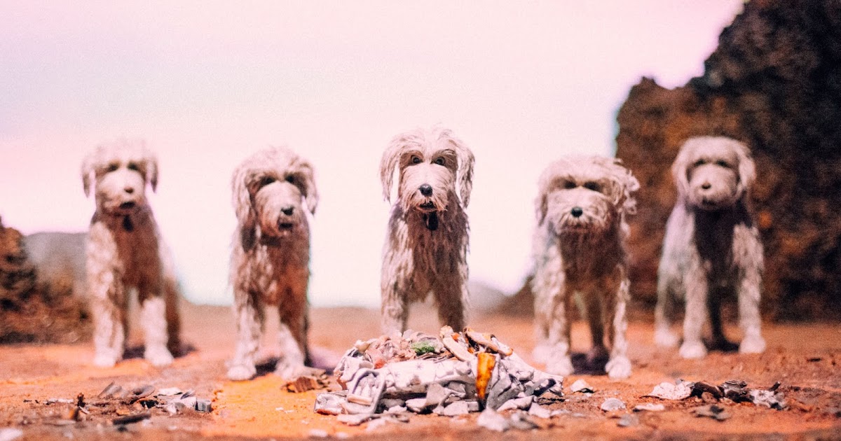 Crítica Isla de perros